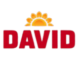david-logo